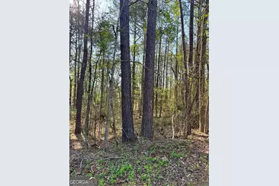 0 Leisure Circle, Pine Mountain, GA 31822 - Photo 2