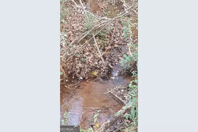 1141 Windsweep Farm Road, Thomaston, GA 30286 - Photo 54