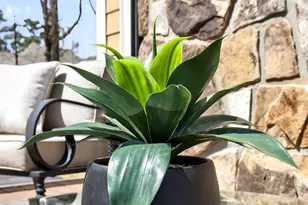 155 Reynolds Pl, Fayetteville, GA 30215 - Photo 94