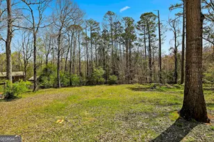 218 Hyde Cir, Newnan, GA 30263 - Photo 34