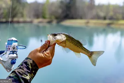 1053 Ga Highway 26 W, Cochran, GA 31014 - Photo 80