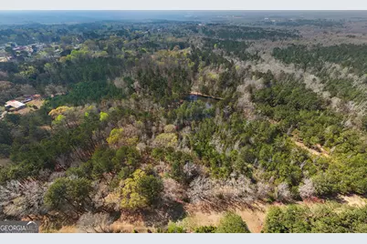 0 Lower Big Springs Road, Lagrange, GA 30241 - Photo 8