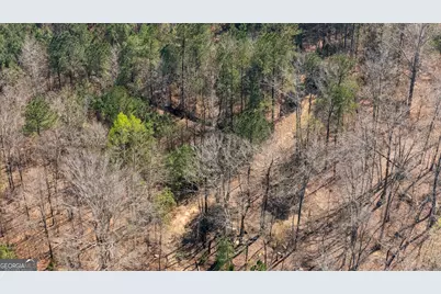 0 Lower Big Springs Road, Lagrange, GA 30241 - Photo 4