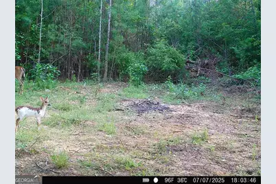 0 Lower Big Springs Road, Lagrange, GA 30241 - Photo 36