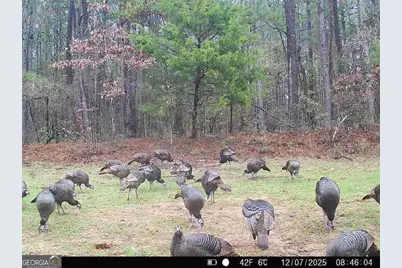 0 Lower Big Springs Road, Lagrange, GA 30241 - Photo 34