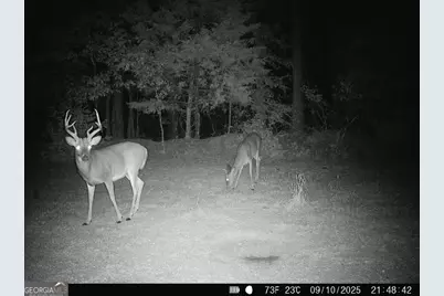 0 Lower Big Springs Road, Lagrange, GA 30241 - Photo 32