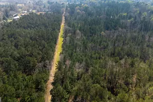 0 Lower Big Springs Rd, Lagrange, GA 30241 - Photo 1