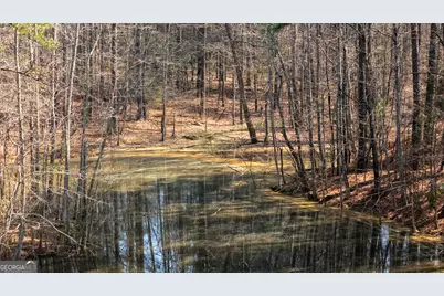 0 Lower Big Springs Road, Lagrange, GA 30241 - Photo 12