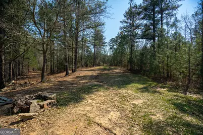 0 Lower Big Springs Road, Lagrange, GA 30241 - Photo 24