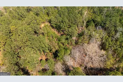 0 Lower Big Springs Road, Lagrange, GA 30241 - Photo 14