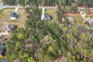 150 Wilson Dr, McDonough, GA 30252 - Photo 52