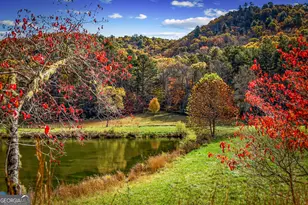 2650 Cutcane Rd, Mineral Bluff, GA 30559 - Photo 98