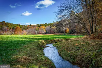 2650 Cutcane Road, Mineral Bluff, GA 30559 - Photo 96