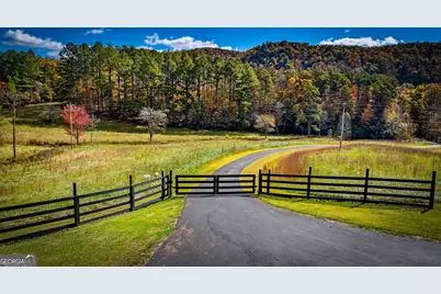 2650 Cutcane Road, Mineral Bluff, GA 30559 - Photo 84