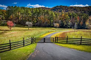 2650 Cutcane Rd, Mineral Bluff, GA 30559 - Photo 84