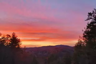 222 Brooks Ridge Rd, Mineral Bluff, GA 30559 - Photo 4