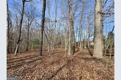 205 Oak Ridge Road, Morganton, GA 30560 - Photo 58