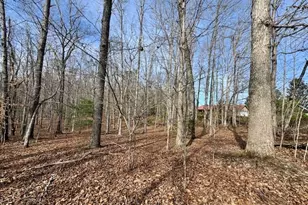 205 Oak Ridge Rd, Morganton, GA 30560 - Photo 58