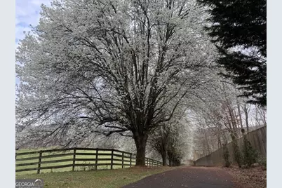 205 Oak Ridge Road, Morganton, GA 30560 - Photo 6