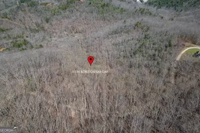 13.99 Ac Caesar Gap Road, Hiawassee, GA 30546 - Photo 6
