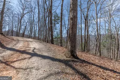 13.99 Ac Caesar Gap Road, Hiawassee, GA 30546 - Photo 16