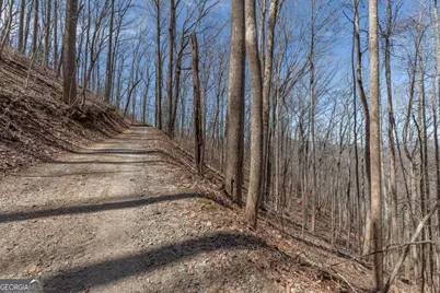 13.99 Ac Caesar Gap Road, Hiawassee, GA 30546 - Photo 14