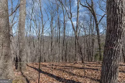 13.99 Ac Caesar Gap Road, Hiawassee, GA 30546 - Photo 22