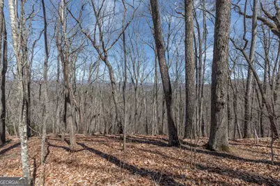 13.99 Ac Caesar Gap Road, Hiawassee, GA 30546 - Photo 24