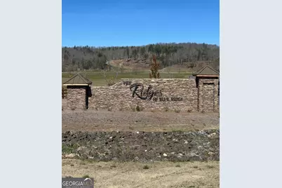 Lot 188 The Ridges, Morganton, GA 30560 - Photo 10