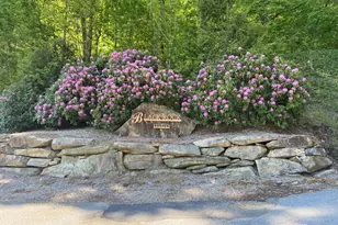 0 Yellow Trillium (Lot 13), Clayton, GA 30525 - Photo 1