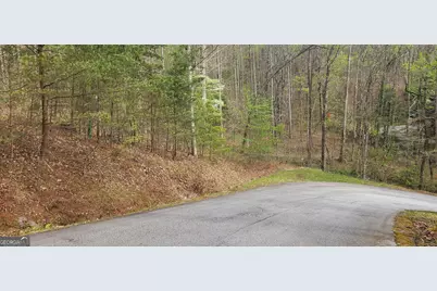 0 (Lot 13) Yellow Trillium, Clayton, GA 30525 - Photo 2