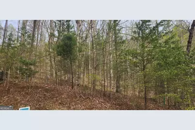 0 (Lot 13) Yellow Trillium, Clayton, GA 30525 - Photo 4