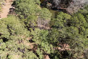 1270 Wadsworth Dr, Albany, GA 31721 - Photo 6