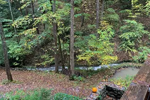 1022 Coweeta Gap Rd, Otto,  28763 - Photo 44