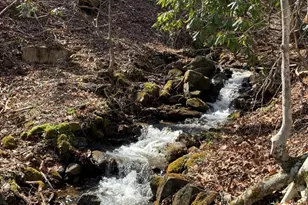 1022 Coweeta Gap Rd, Otto,  28763 - Photo 34