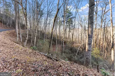 0 River View Lot 12 Trail W, Dahlonega, GA 30533 - Photo 20