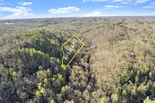 0 River View Trail W Lot 12, Dahlonega, GA 30533 - Photo 1