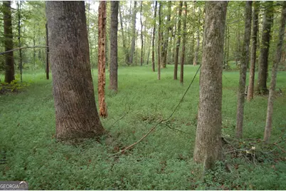 429 Frank Kelley Road, Canon, GA 30520 - Photo 32