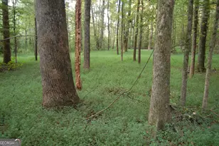 429 Frank Kelley Rd, Canon, GA 30520 - Photo 32