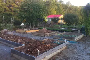 429 Frank Kelley Rd, Canon, GA 30520 - Photo 30