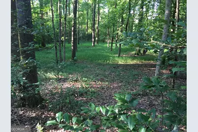 429 Frank Kelley Road, Canon, GA 30520 - Photo 34