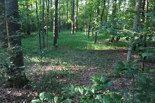 429 Frank Kelley Rd, Canon, GA 30520 - Photo 34