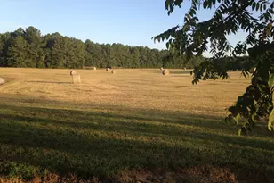 429 Frank Kelley Rd, Canon, GA 30520 - Photo 4