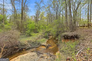 255 Stoneridge Way, Fayetteville, GA 30215 - Photo 46