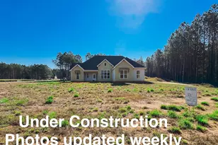 41 Commanche Cir, Williamson, GA 30292 - Photo 1