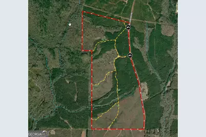 205+/- Woodard Road, Greenville, GA 30222 - Photo 1