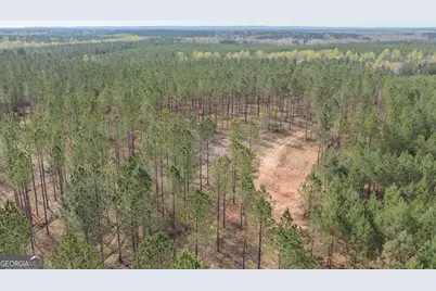 205+/- Woodard Road, Greenville, GA 30222 - Photo 12