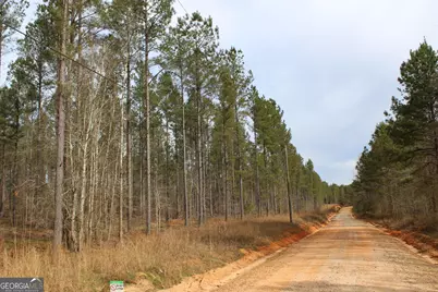 205+/- Woodard Road, Greenville, GA 30222 - Photo 6