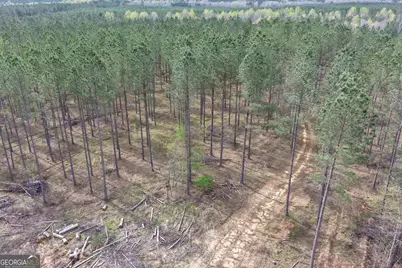 205+/- Woodard Road, Greenville, GA 30222 - Photo 8