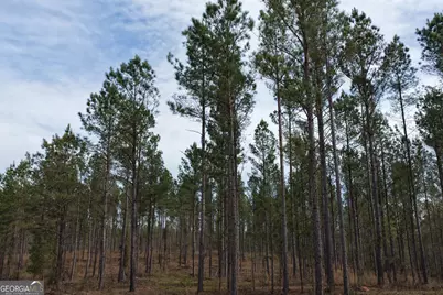 205+/- Woodard Road, Greenville, GA 30222 - Photo 10